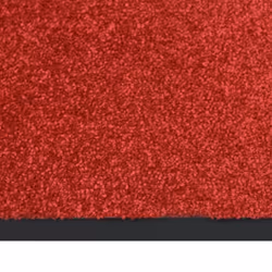 vidaXL Doormat Red Home Decorative Barrier Welcome Front Door Mat Area Rug