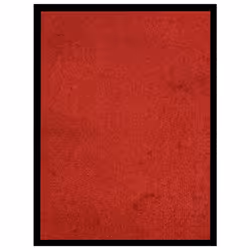 vidaXL Doormat Red Home Decorative Barrier Welcome Front Door Mat Area Rug