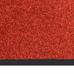 vidaXL Doormat Red Home Decorative Barrier Welcome Front Door Mat Area Rug
