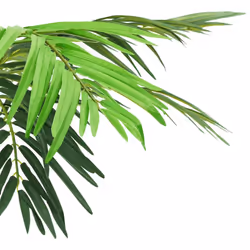 vidaXL Artificial Phoenix Palm with Pot 190 cm Green Indoor Faux Floral Plant - Additional view 2