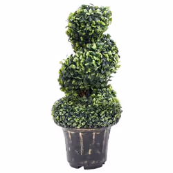 vidaXL Artificial Boxwood Spiral Plant with Pot Artificial Flower Multi Sizes - 20 x 59 cm