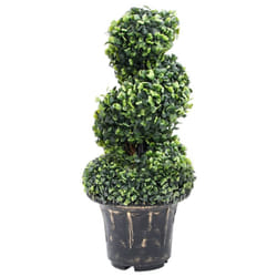 vidaXL Artificial Boxwood Spiral Plant with Pot Artificial Flower Multi Sizes - 20 x 59 cm