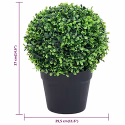 vidaXL Artificial Boxwood Plants 2 pcs with Pots Ball Shaped Green 37 cm - Additional view 5