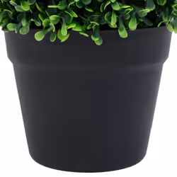 vidaXL Artificial Boxwood Plants 2 pcs with Pots Ball Shaped Green 27 cm - Additional view 4