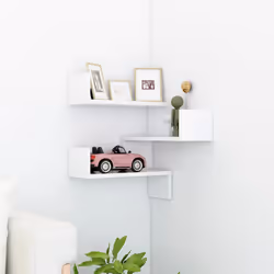 VidaXL 807223 shelve Wood White