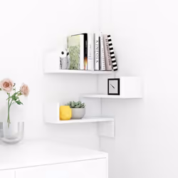 VidaXL 807223 shelve Wood White