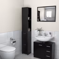 VidaXL 808432, Black, Wood, 250 mm, 265 mm, 1700 mm, 1 pc(s)