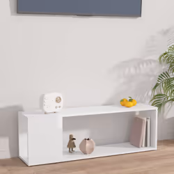 VidaXL 809167 TV cabinet/entertainment centre