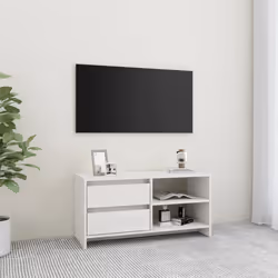 VidaXL 809895 TV cabinet/entertainment centre