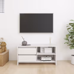 VidaXL 809895 TV cabinet/entertainment centre