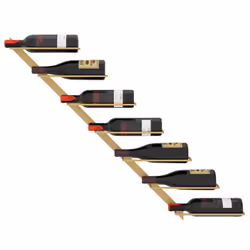 VidaXL 340897 wine rack Metal Gold