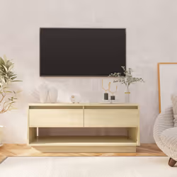 VidaXL 809488 TV cabinet/entertainment centre