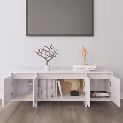 VidaXL 809581 TV cabinet/entertainment centre