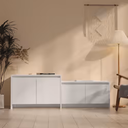 VidaXL 809815 TV cabinet/entertainment centre