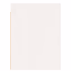 VidaXL 813477 shelve Pine White - Additional view 7