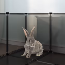 vidaXL Small Animal Cage PP and Steel Animal Supply House Black/Transparent - black - Additional view 5