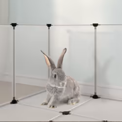 vidaXL Small Animal Cage PP and Steel Animal Supply House Black/Transparent - transparent - Additional view 5