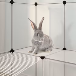 vidaXL Small Animal Cage PP and Steel Animal Supply House Black/Transparent - transparent - Additional view 6