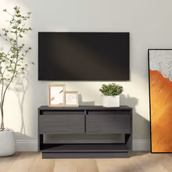 VidaXL 813841 TV cabinet/entertainment centre