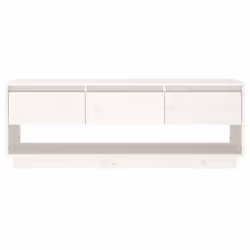 VidaXL 813845 TV cabinet/entertainment centre