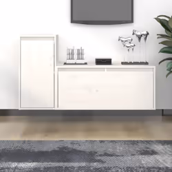 VidaXL 3100110 TV cabinet/entertainment centre
