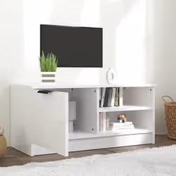 VidaXL 811478 TV cabinet/entertainment centre