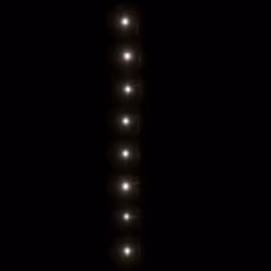vidaXL LED String with 400 LEDs Christmas Light String Light Warm White PVC - Cold white, 30 m