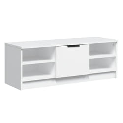 VidaXL 811367 TV cabinet/entertainment centre