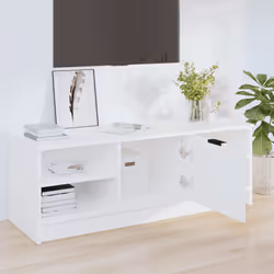 VidaXL 811367 TV cabinet/entertainment centre