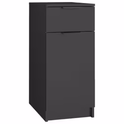 vidaXL Desk Cabinet Desk Cupboard Office Storage Cabinet Black Engineered Wood