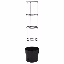 vidaXL Tomato Grower Anthracite Polypropylene Planter Ã 29.5x115 cm/Ã39x150 cm - Ã29.5x115 cm