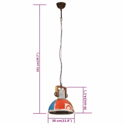 vidaXL Industrial Hanging Lamp 25 W Round E27 Light Multi Colours Multi Sizes - 30 cm