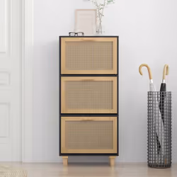 vidaXL Shoe Cabinet Engineered Wood and Natural Rattan Organiser Multi Colours - black