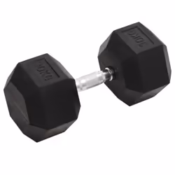 vidaXL Dumbbell 30 kg Cast Iron Barbell Free Weight Plate Bar Hex Dumbbell