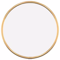 vidaXL Wall Mirror Round Bathroom Vanity Make up Mirror Multi Colours/Sizes - gold, 20 cm