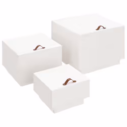 vidaXL 3x Solid Wood Pine Storage Boxes with Lids Tool Chest Multi Colours - White