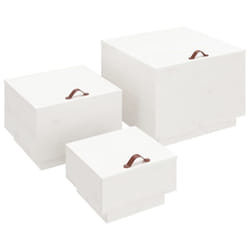 vidaXL 3x Solid Wood Pine Storage Boxes with Lids Tool Chest Multi Colours - White