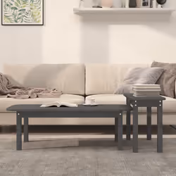 vidaXL Solid Wood Pine Coffee Table Set 2 Piece Side End Table Multi Colours - grey