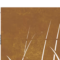 vidaXL Garden Gate Fence Gate Fence Panel 85x150 cm Corten Steel Grass Design - 85 x 150 cm - Additional view 7