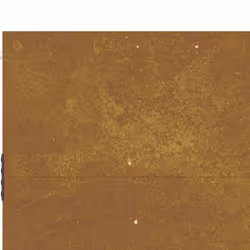 vidaXL Garden Gate Driveway Gate Fence Gate Fence Panel 85x100 cm Corten Steel - 85 x 75 cm - Additional view 7