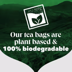 Decaf | Black Tea Bags Bulk | Indulgent, Velvety & Rich Black Tea | Perfect Flavour Release | Decaffeinated | 6 Packs | 420 Plant Based Biodegradable