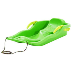 vidaXL Sledge with Brakes Polypropylene Toboggan Ski Snowracer Multi Colours - green