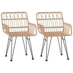 VidaXL 319426 outdoor chair Terrace Polyethylene, Polyrattan, Steel