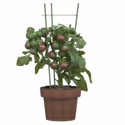 vidaXL 5x Garden Plant Supports with 4 Rings Green Steel Stake Multi Sizes - 18 x 45 cm