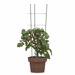 vidaXL 5x Garden Plant Supports with 4 Rings Green Steel Stake Multi Sizes - 21.5 x 60 cm