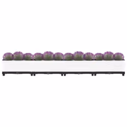 vidaXL Raised Bed Polypropylene Garden Planter Pot Planting Box Flower Pot - white, 160 x 40 x 23 cm - Additional view 2