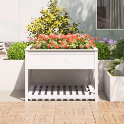 vidaXL Solid Wood Pine Planter with Shelf Plant Raised Bed Multi Colours/Sizes - white, 111.5 x 111.5 x 81 cm - Additional view 2