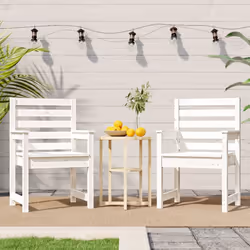 vidaXL Garden Chairs Outdoor Chair Wooden Chair Seating Patio 2 pcs Pinewood - white pine, 60 x 48 x 91 cm