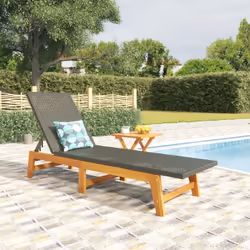 VidaXL 319727 outdoor chair Lounge Acacia wood Black, Brown