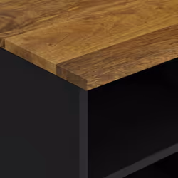 vidaXL TV Cabinet TV Stand Unit Cupboard Solid Wood Mango and Engineered Wood - Additional view 5